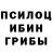 Галлюциногенные грибы мицелий kdkur