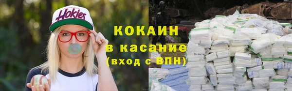 сатива Пересвет
