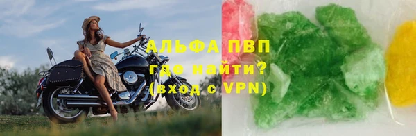 сатива Пересвет