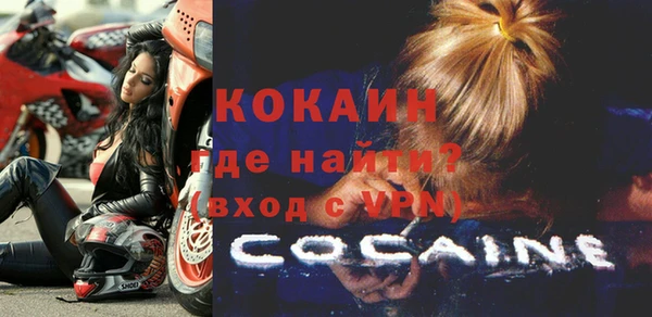 сатива Пересвет
